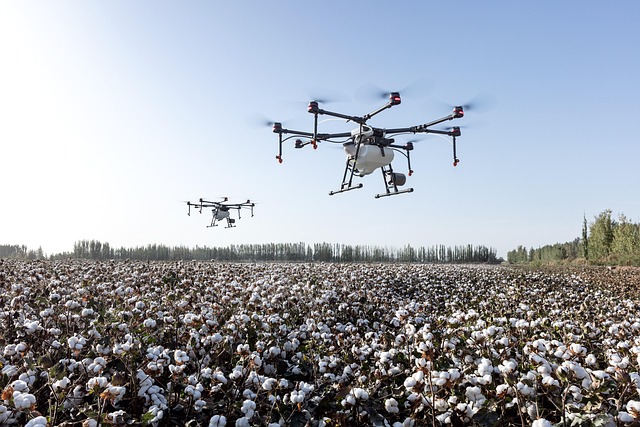 Dron DJI rolniczy opryskujący uprawy bawełny - autonomiczne maszyny rolnicze a AI Act