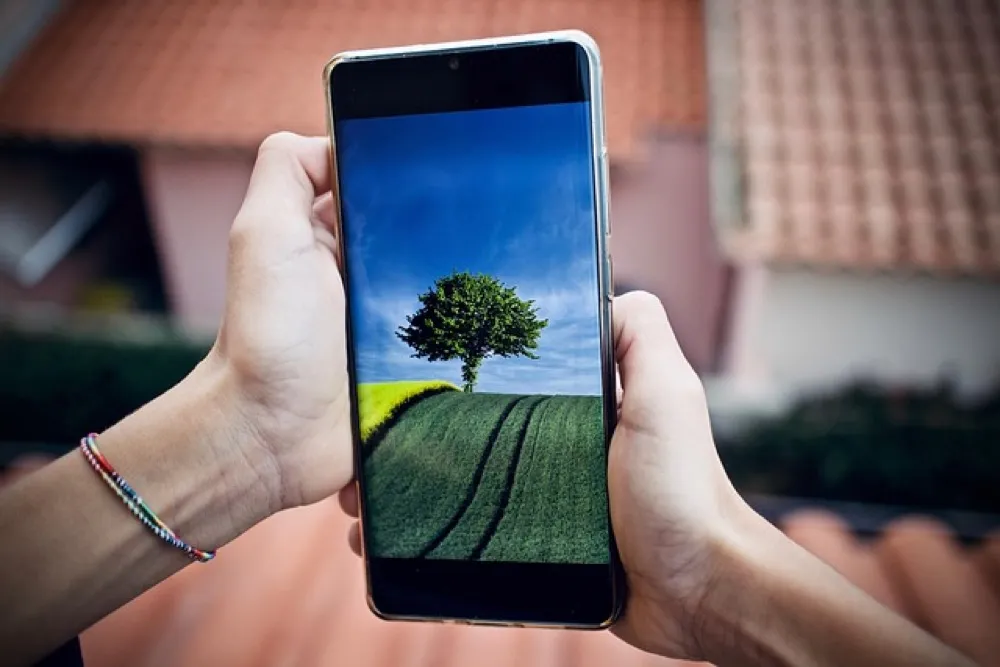 Smartfon używany w terenie do dokumentowania stanu roślin w otoczeniu zieleni