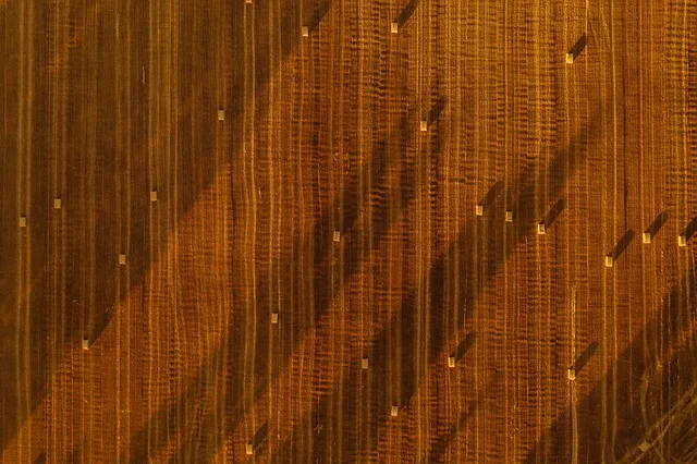 Satelitarny monitoring upraw z AI: jak NDVI i Sentinel-2 chronią plony latem 2026