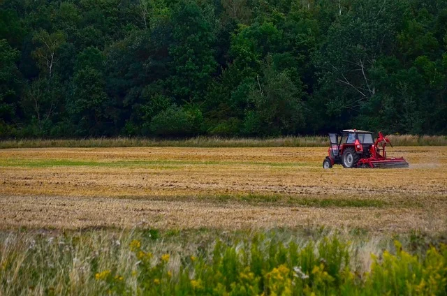 AI i wapnowanie gleby jesienią – mapy pH i zmienne dawki wapna